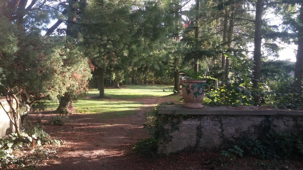 Relais De La Haute Pommeraye Apremont  Luaran gambar